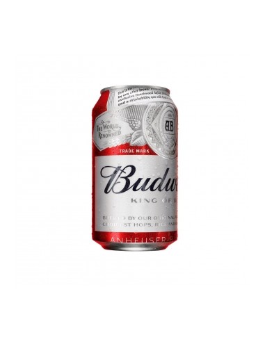 CERVEZA SKOL BOTE