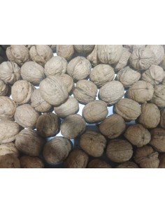 COKTEL REF 22 B 900 GRS